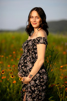 Caity's Maternity Session (2024)